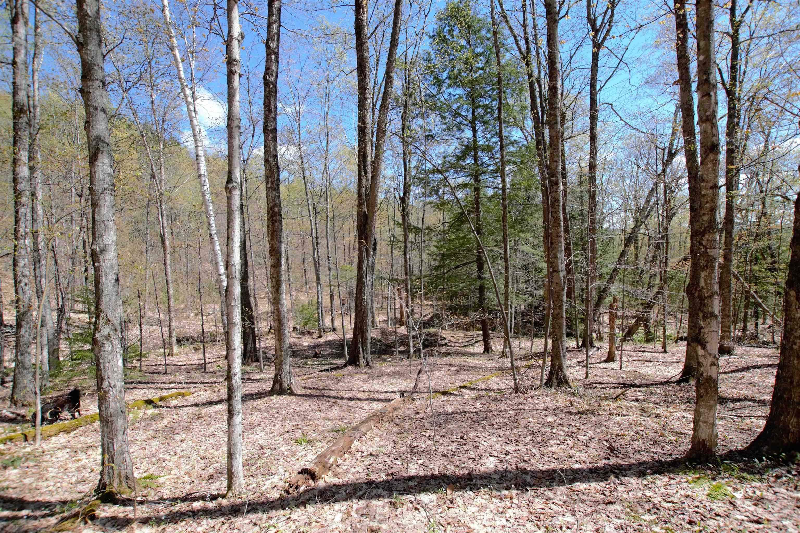 Lot 1 Berno Road, Unit LOT 1 Waterbury, VT 05676 - Photo 35 of 38 Gallery Image 35