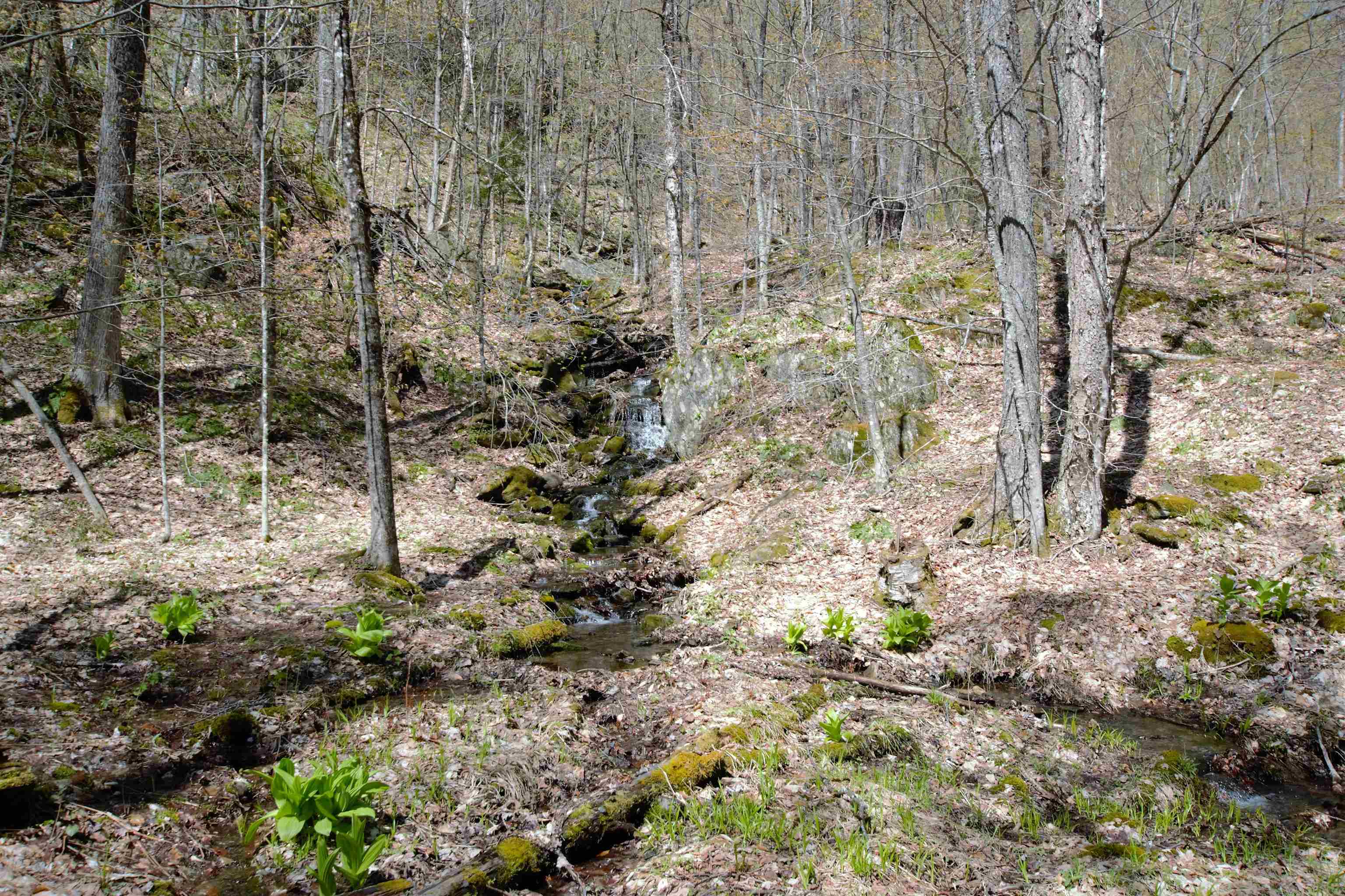 Lot 1 Berno Road, Unit LOT 1 Waterbury, VT 05676 - Photo 36 of 38 Gallery Image 36