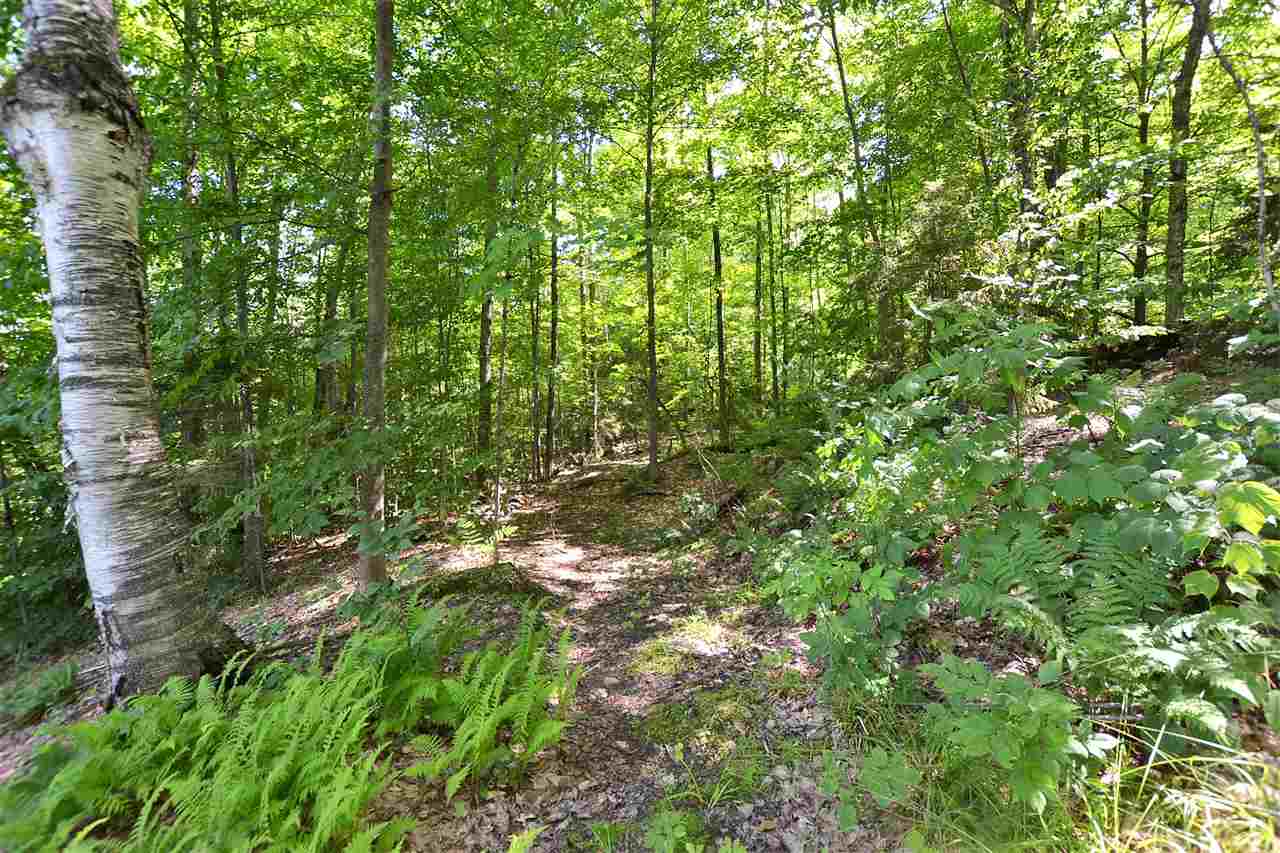 Lot 1 Berno Road, Unit LOT 1 Waterbury, VT 05676 - Photo 38 of 38 Gallery Image 38
