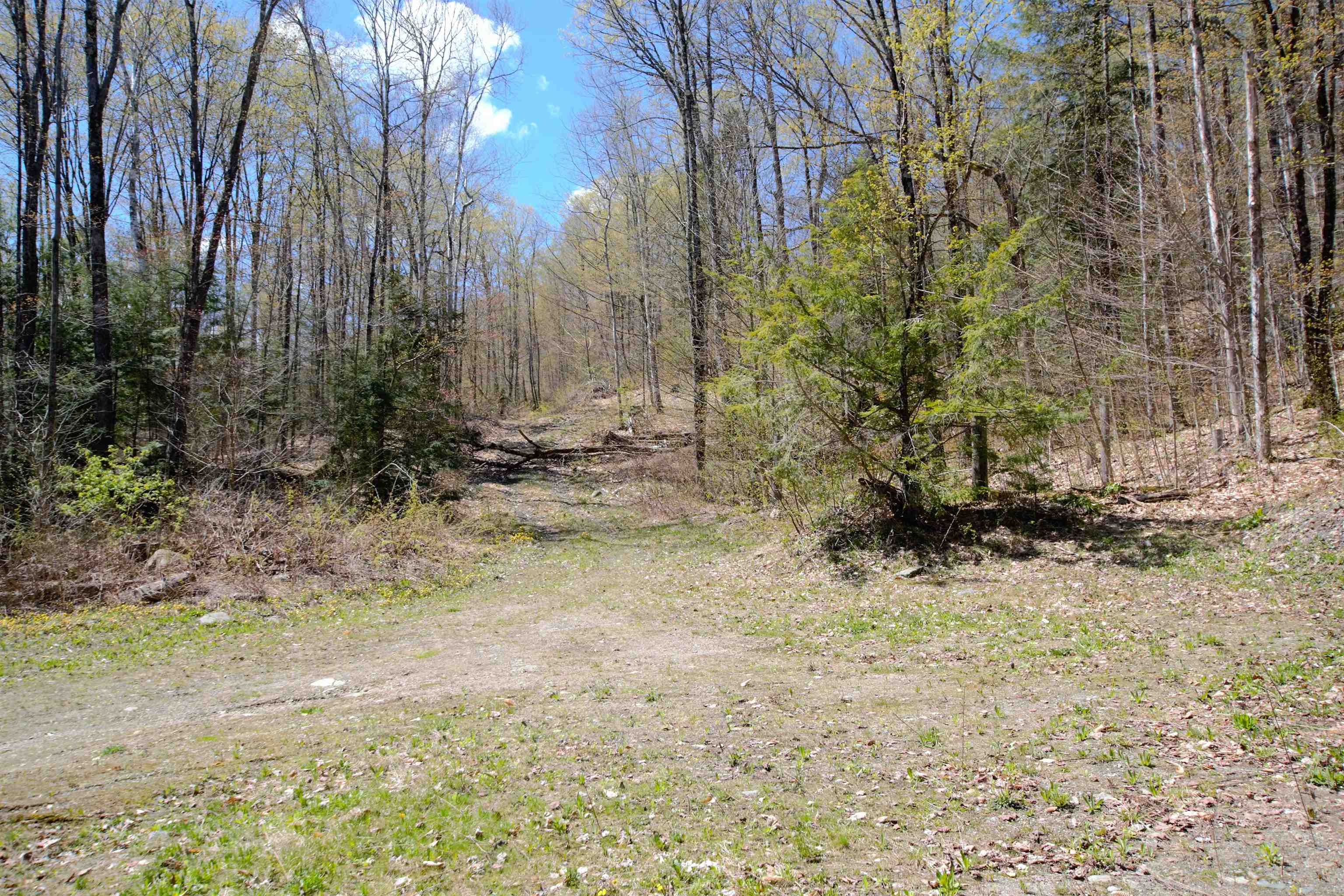 Lot 1 Berno Road, Unit LOT 1 Waterbury, VT 05676 - Photo 6 of 38 Gallery Image 6