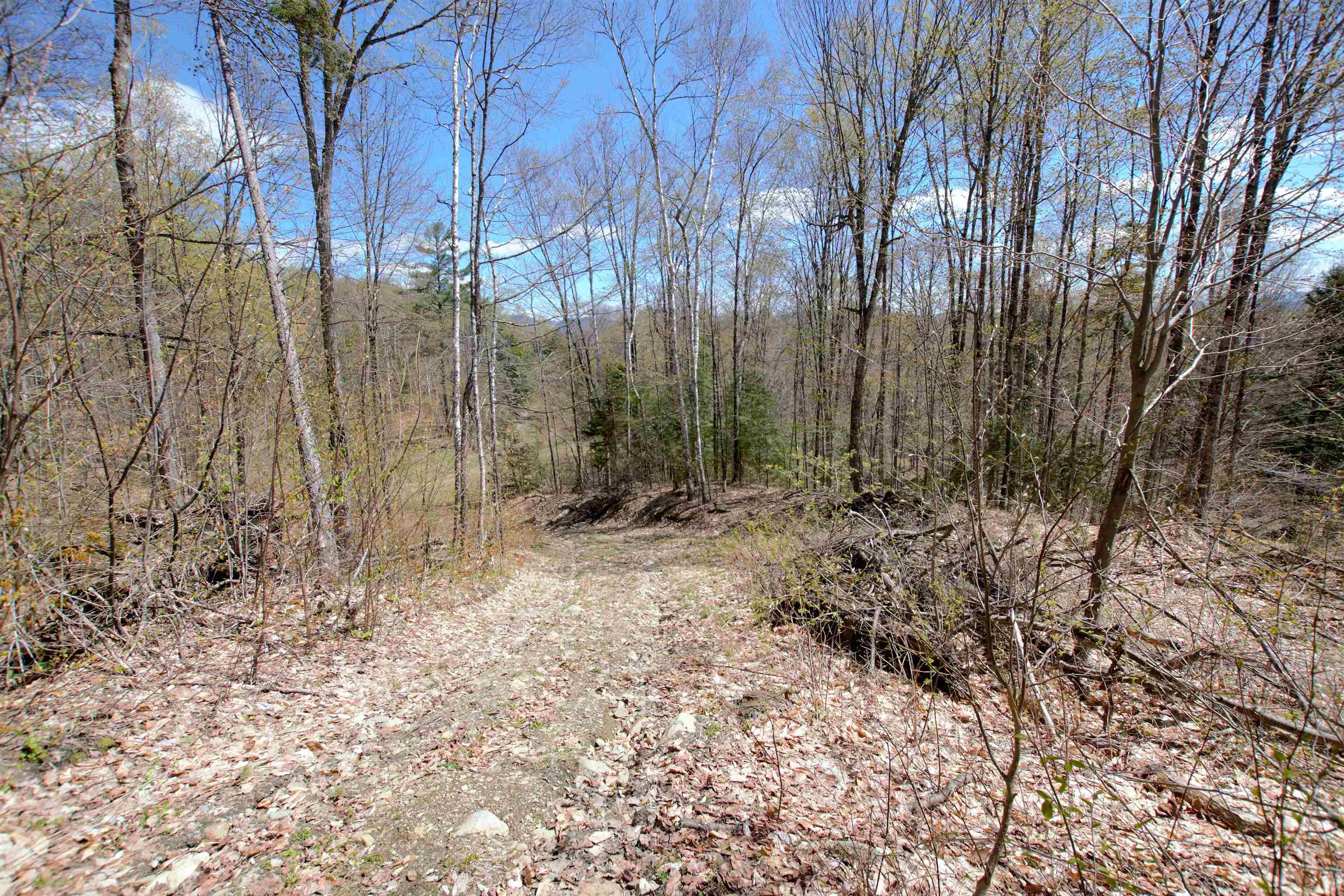Lot 1 Berno Road, Unit LOT 1 Waterbury, VT 05676 - Photo 7 of 38 Gallery Image 7