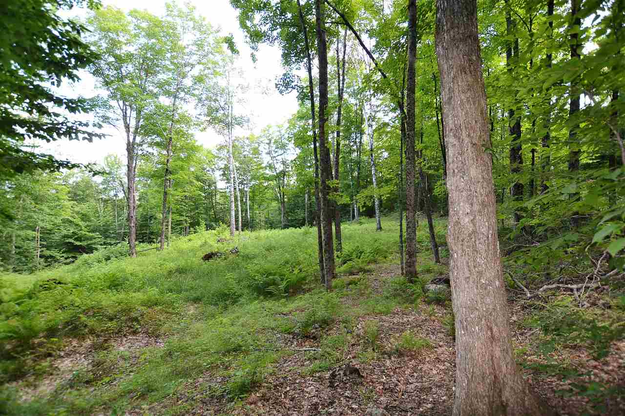 Lot 1 Berno Road, Unit LOT 1 Waterbury, VT 05676 - Photo 8 of 38 Gallery Image 8
