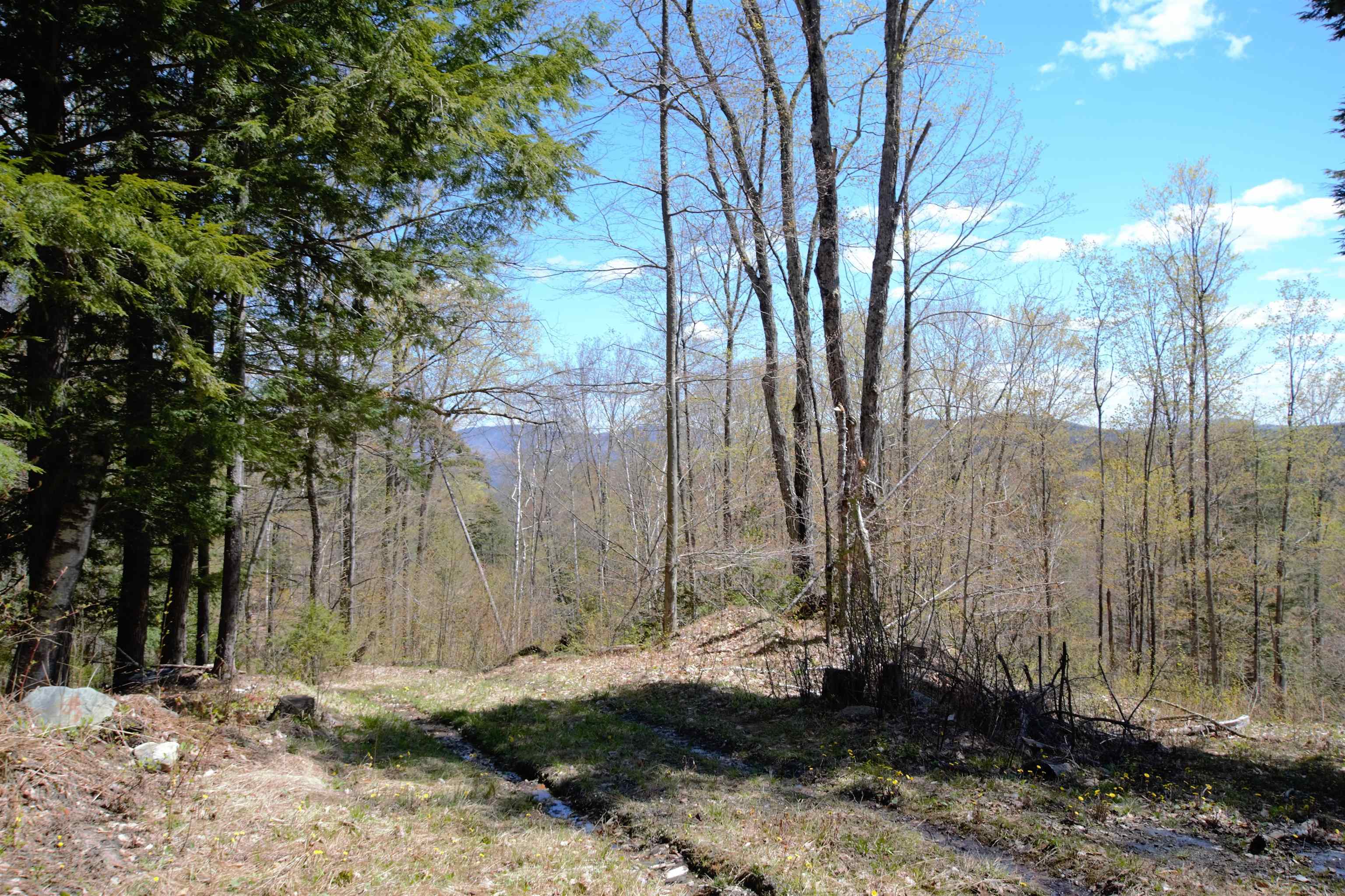 Lot 1 Berno Road, Unit LOT 1 Waterbury, VT 05676 - Photo 10 of 38 Gallery Image 10