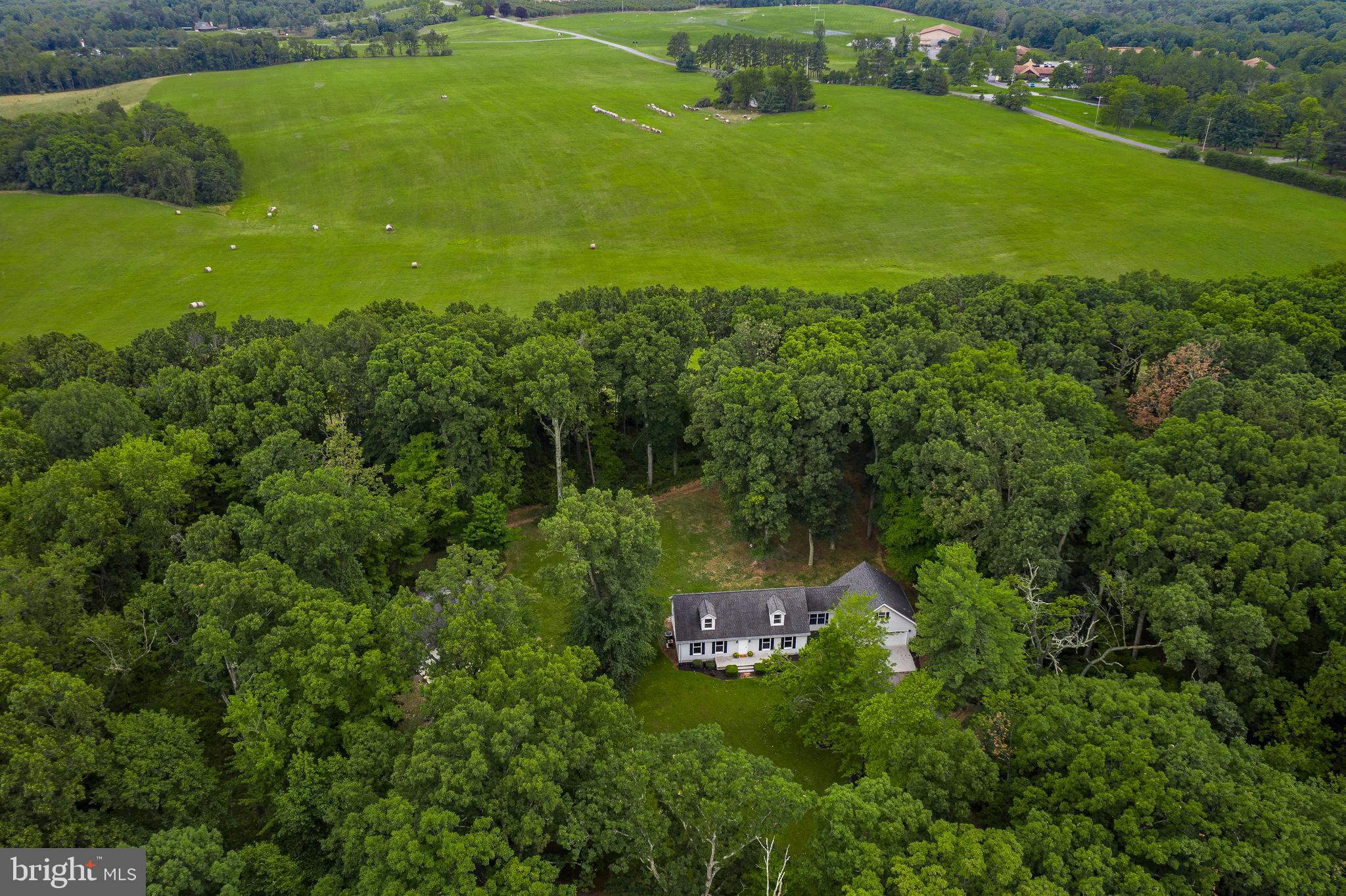1504 New Hope Road Cross Junction, VA 22625 - Photo 1 of 35 a view of a lush green space