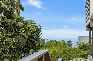 a view of a yard with plants and a building
