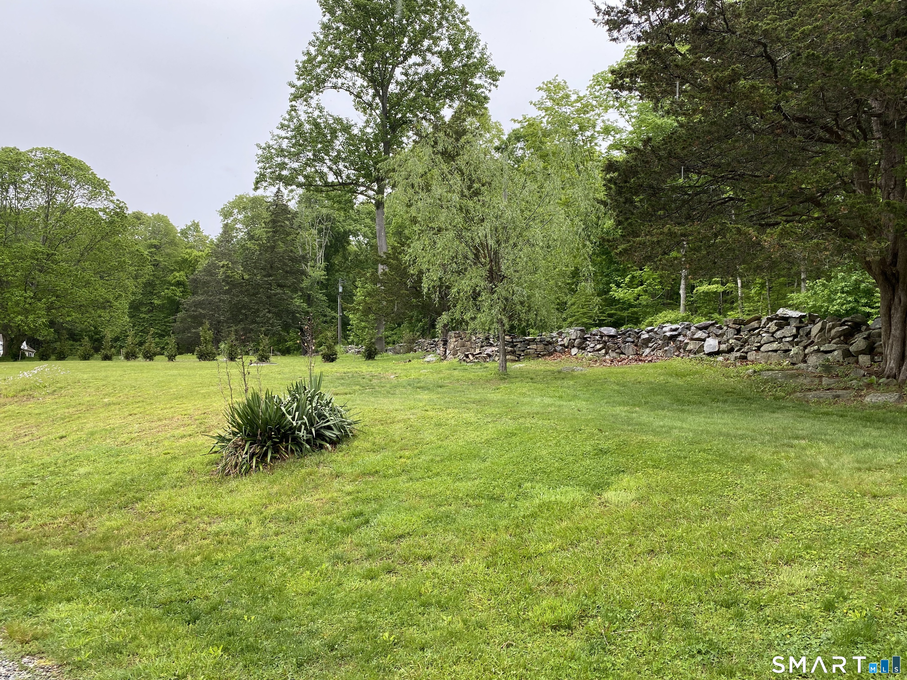 41 Old W Road East Haddam, CT 06423 - Photo 5 of 39 a big yard with lots of green space and trees