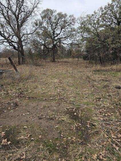 1797 County Road 1797 Sunset, TX 76270 - Photo 2 of 7 a view of a dry yard with trees