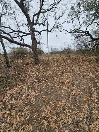 a view of outdoor space with trees all around