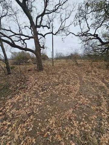 a view of outdoor space with trees all around