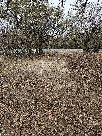 1797 County Road 1797 Sunset, TX 76270 - Photo 7 of 7 a view of outdoor space with trees all around