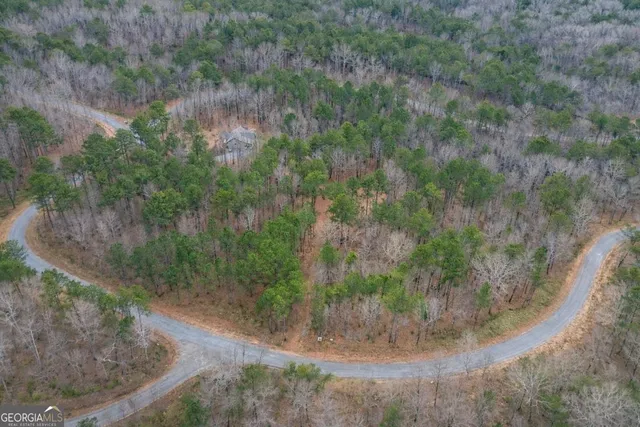 a view of a dry yard