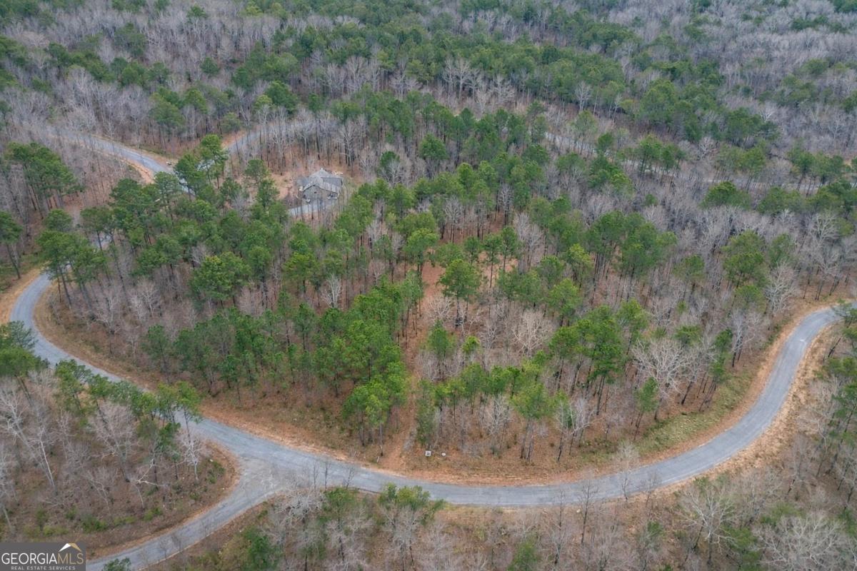2834 Twisted Oak Road Talking Rock, GA 30175 - Photo 3 of 7 a view of a dry yard