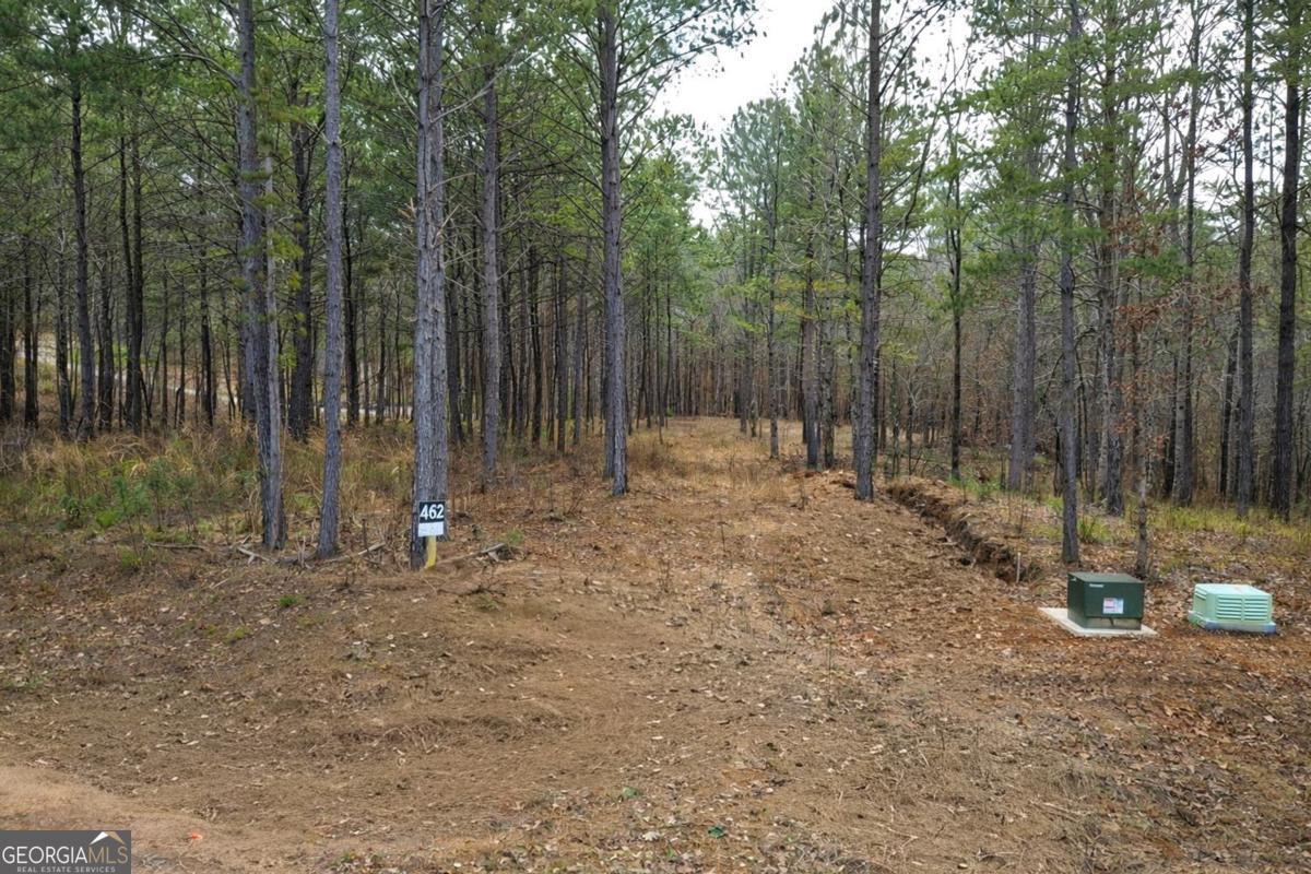 2834 Twisted Oak Road Talking Rock, GA 30175 - Photo 4 of 7 a backyard of a house with lots of trees