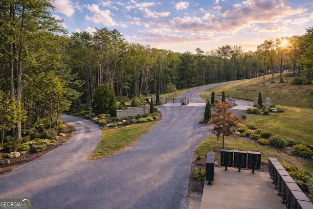 a view of a park with large trees