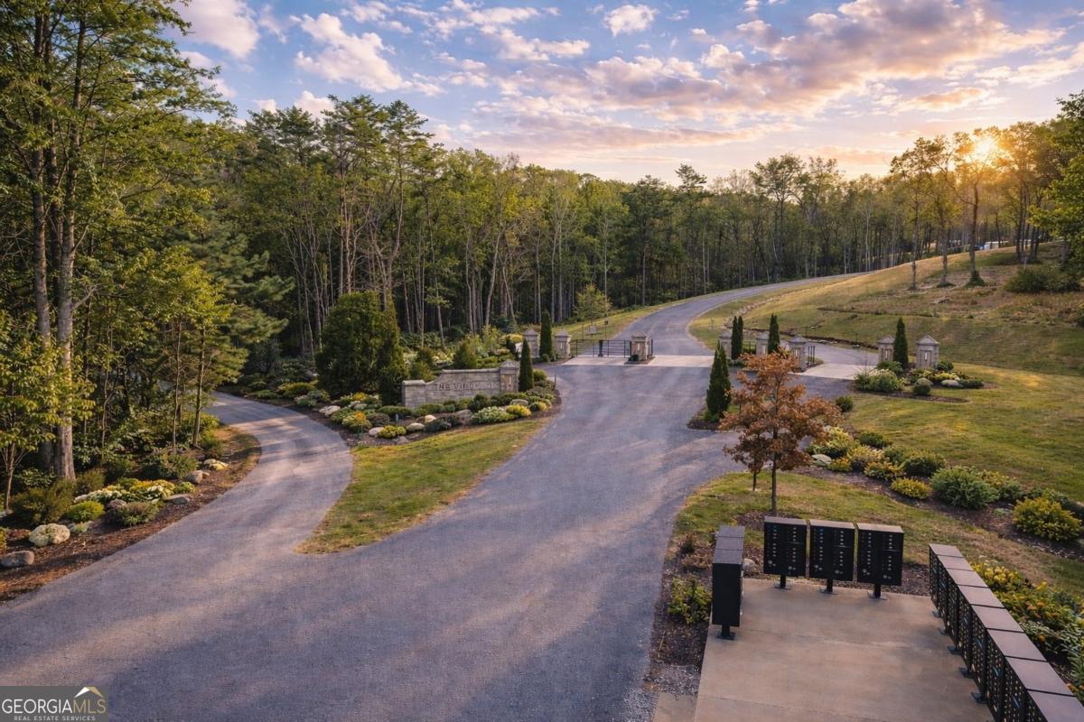 2834 Twisted Oak Road Talking Rock, GA 30175 - Photo 7 of 7 a view of a park with large trees