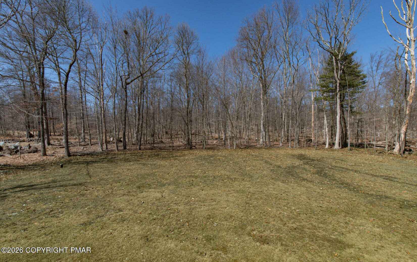 324 Remington Road East Stroudsburg, PA 18301 - Photo 32 of 35 a view of outdoor space with trees