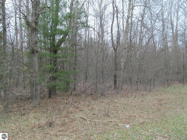 Lot 7 West Blue Road McBain, MI 49657 - Photo 4 of 6 Gallery Image 4