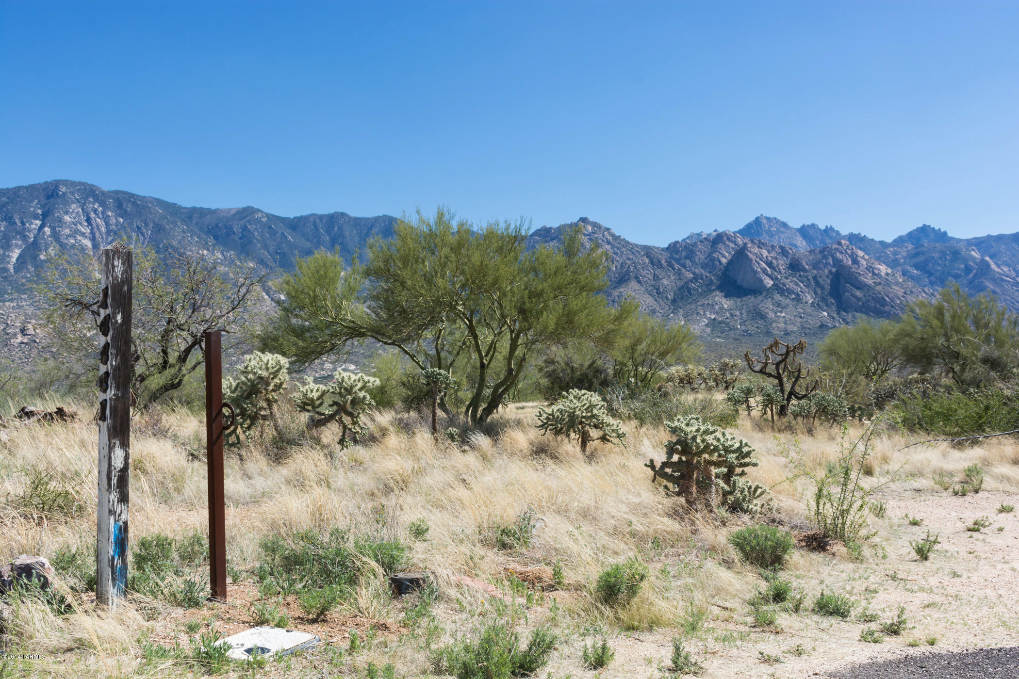 14442 North Swan Road Tucson, AZ 85739 - Photo 8 of 24