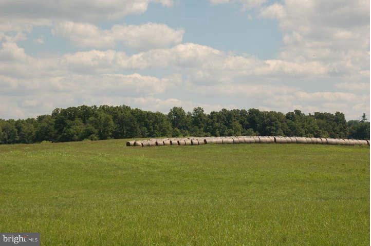 710 Rectortown Road Marshall, VA 20115 - Photo 3 of 10 Exterior (General)