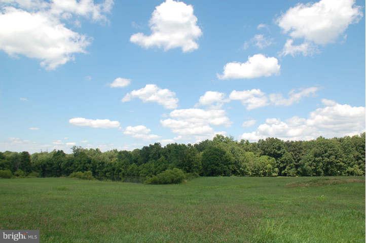 710 Rectortown Road Marshall, VA 20115 - Photo 4 of 10 Exterior (General)