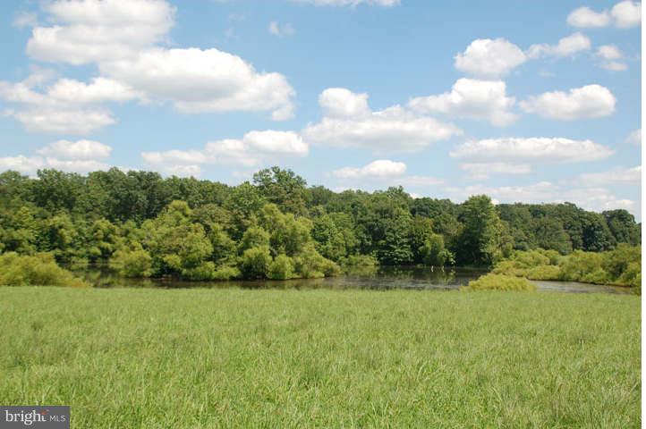 710 Rectortown Road Marshall, VA 20115 - Photo 8 of 10 Exterior (General)