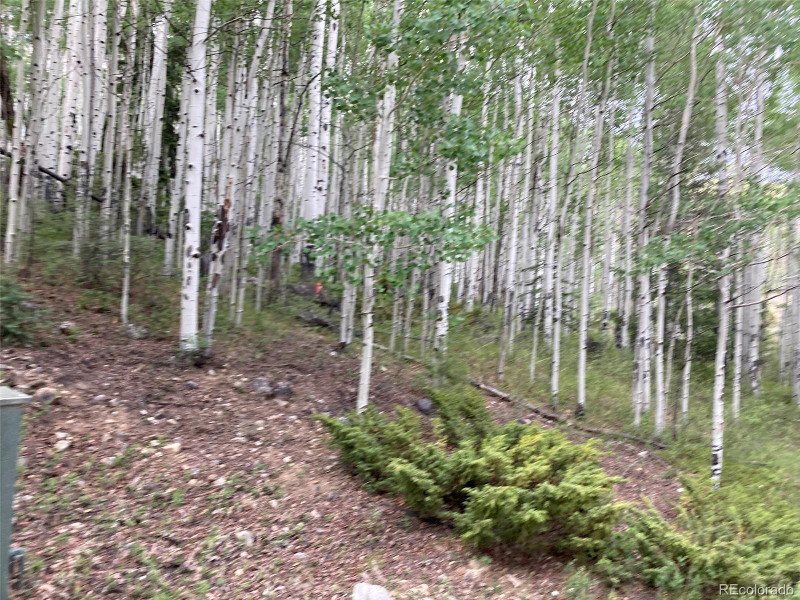 Lot 6295 Malcolm Road San Luis, CO 81152 - Photo 13 of 31