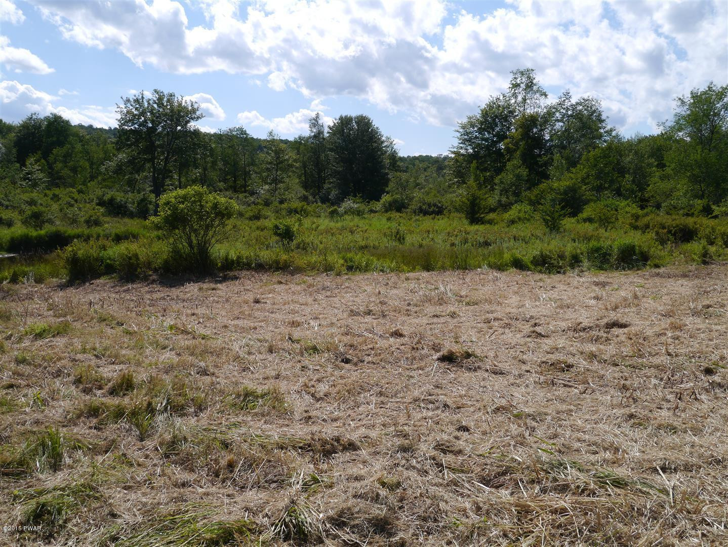 Beaverhollow Road Starrucca, PA 18462 - Photo 8 of 9