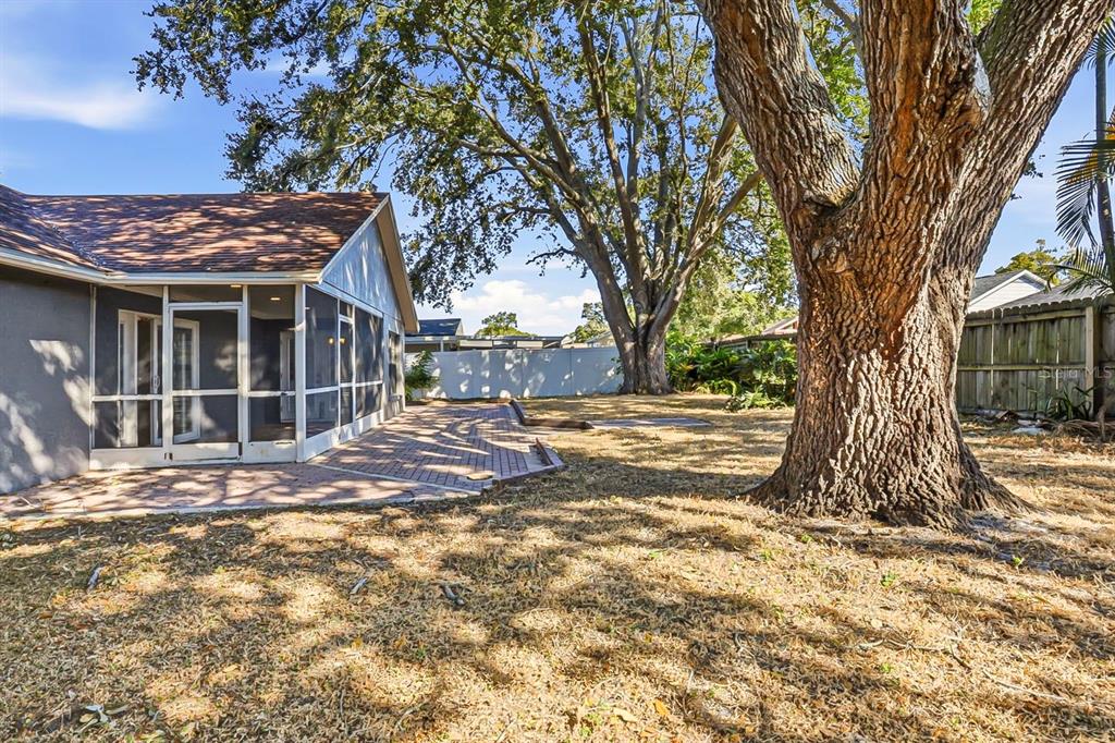 15009 Naples Place Tampa, FL 33624 - Photo 40 of 42 a view of a house with a tree in front of it