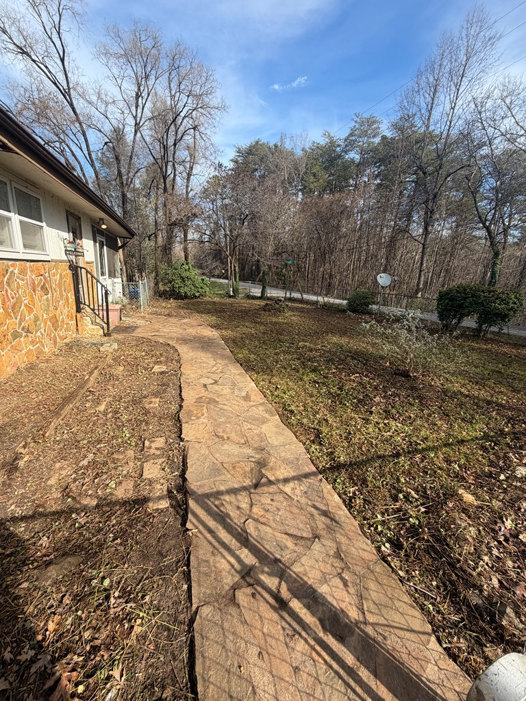 316 Lake Drive Morganton, GA 30560 - Photo 19 of 41 a view of yard with wooden fence