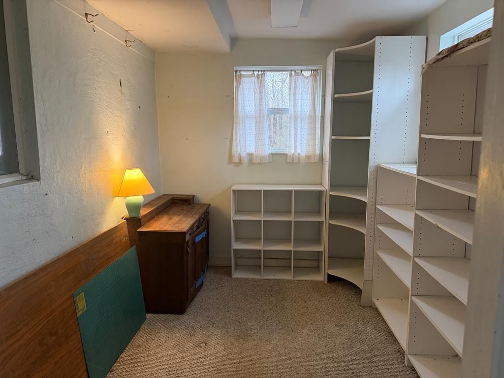 316 Lake Drive Morganton, GA 30560 - Photo 4 of 41 a room with storage and utility