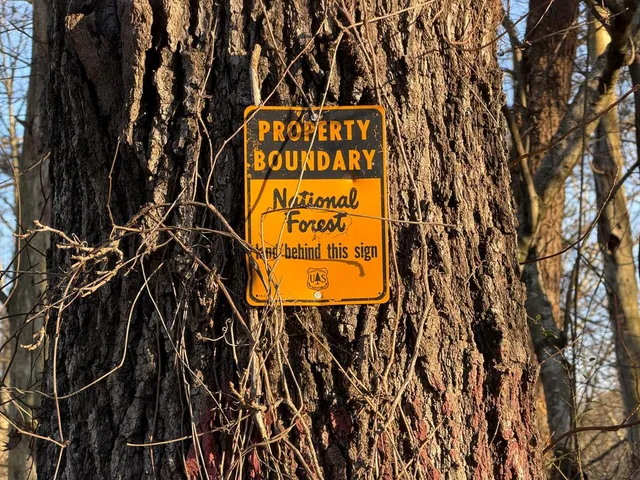 $139,000 | 316 Lake Drive, Morganton, GA 30560