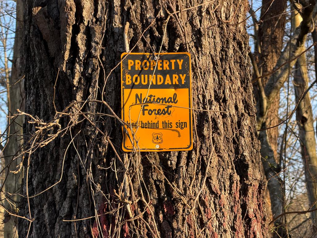 316 Lake Drive Morganton, GA 30560 - Photo 8 of 41 a sign that is on a pole