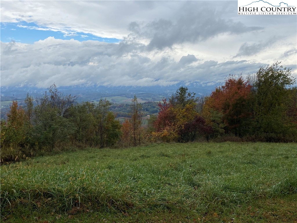 Lot #7 Ridgewood Road Sparta, NC 28675 - Photo 7 of 11 a view of a field of grass and trees