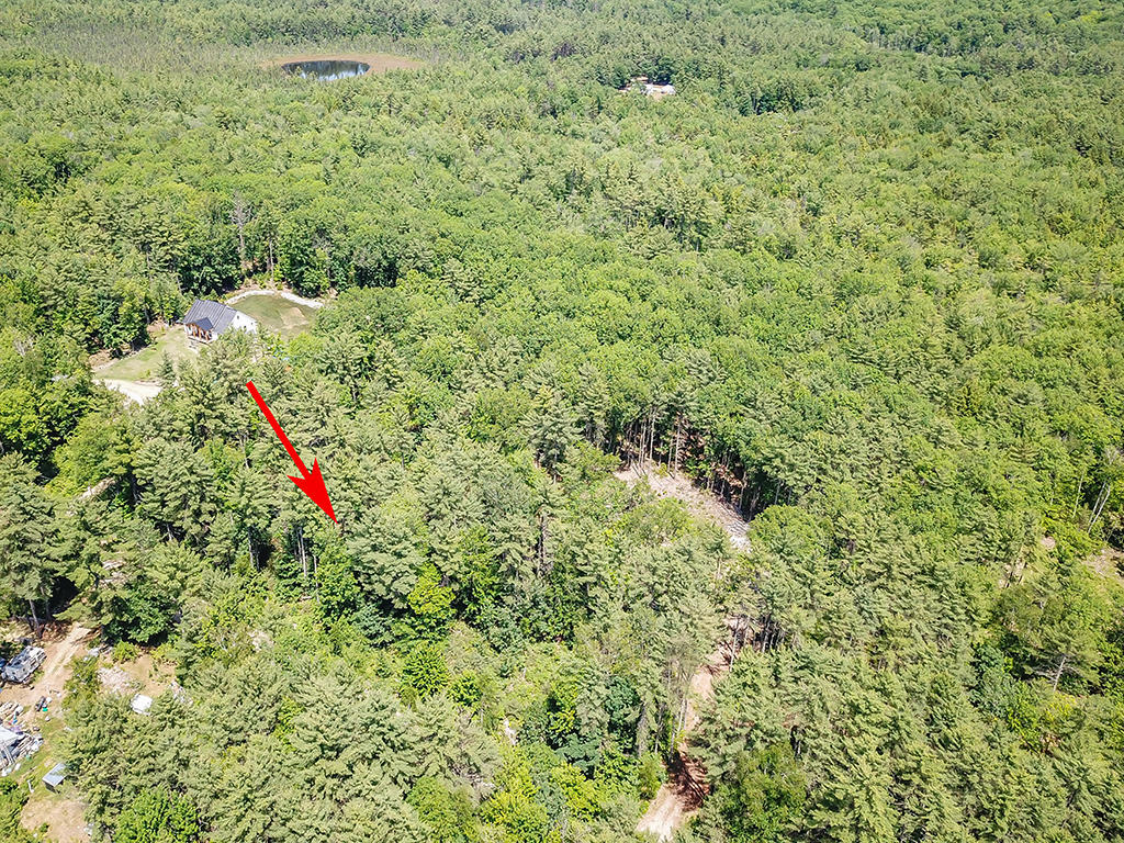 Lot 9 Smith Road Denmark, ME 04022 - Photo 19 of 34 913-Denmark-land-summer2020A