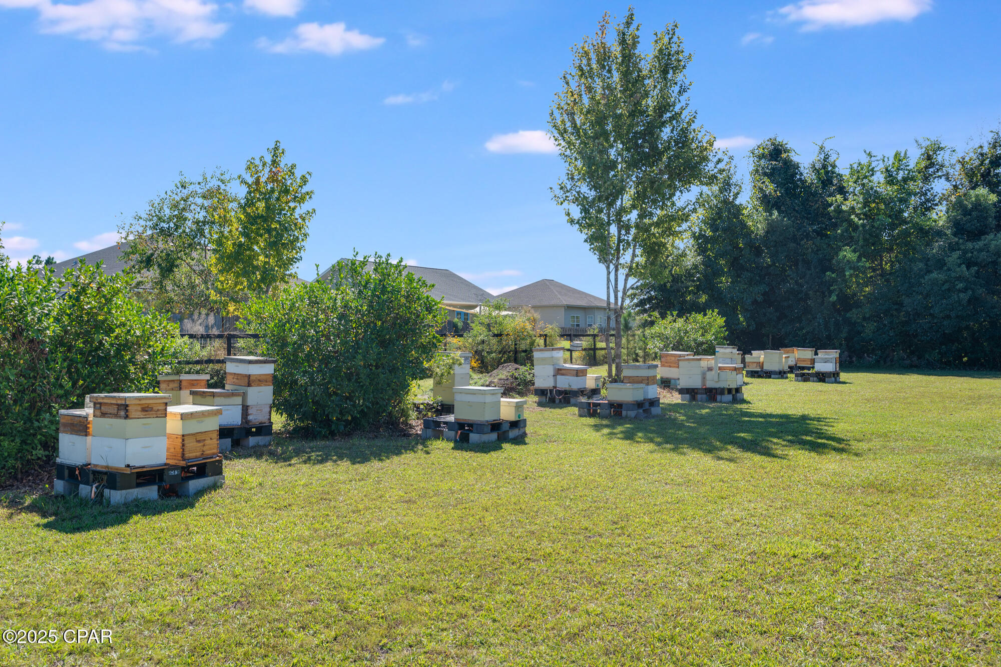 4738 Cherokee Heights Road Panama City, FL 32404 - Photo 50 of 63