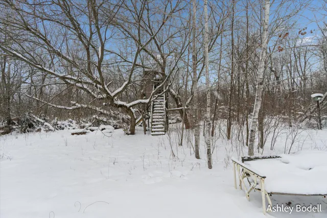 $275,000 | 14151 Shaner Avenue Northeast, Cedar Springs, MI 49319