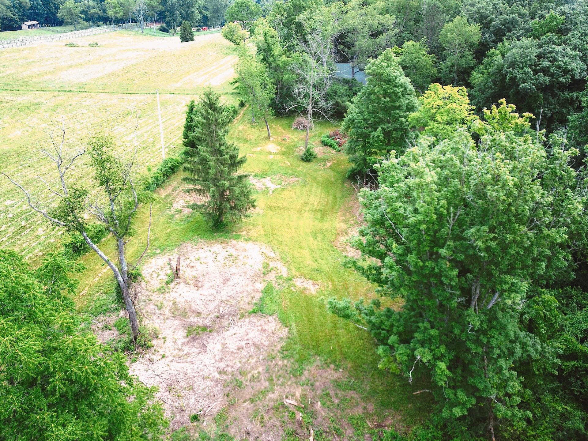 8870 Olentangy River Road Powell, OH 43065 - Photo 13 of 61 DJI_0944_(3)