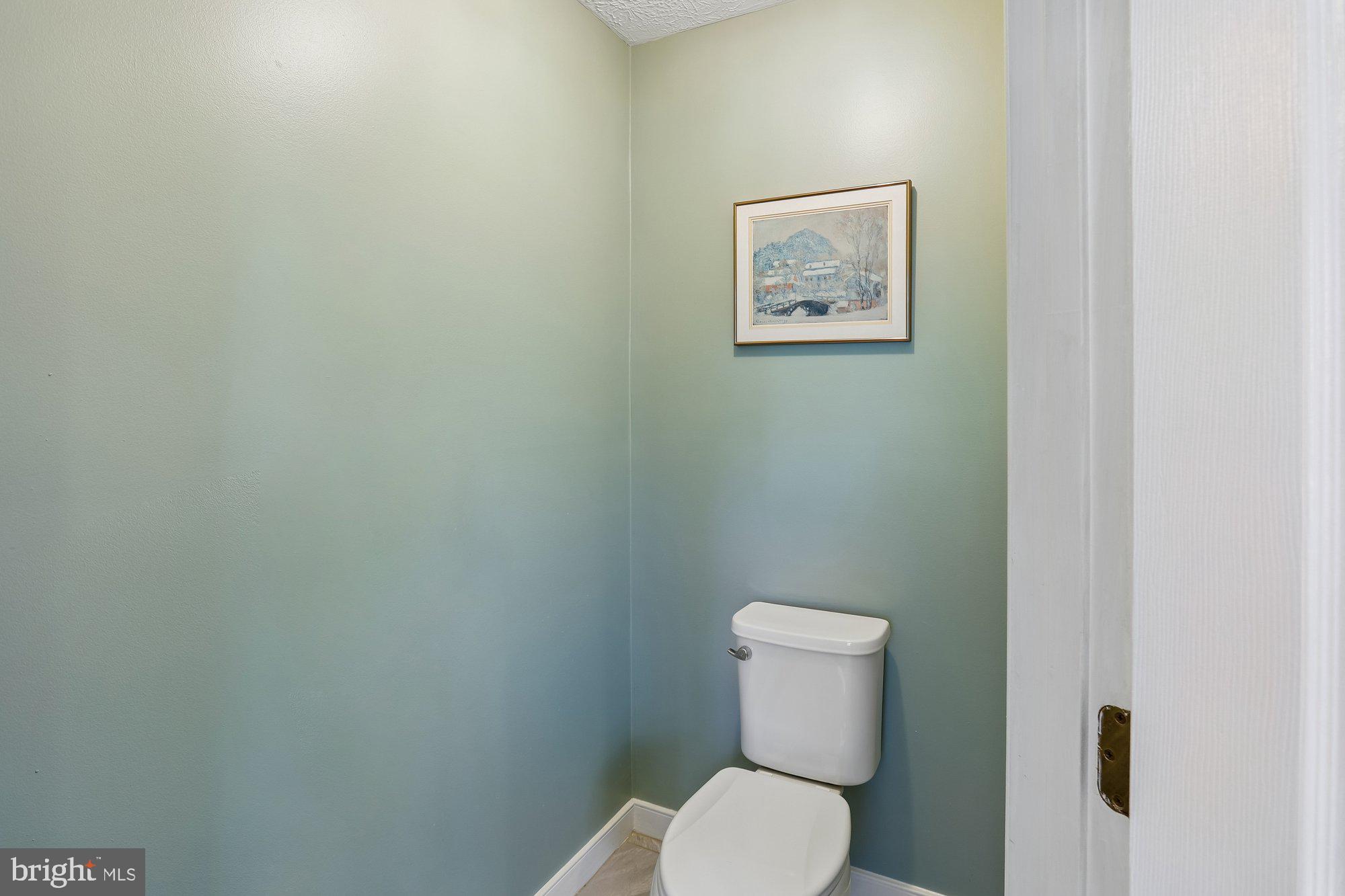 702 Falls Road Parkton, MD 21120 - Photo 27 of 67 Water Closet