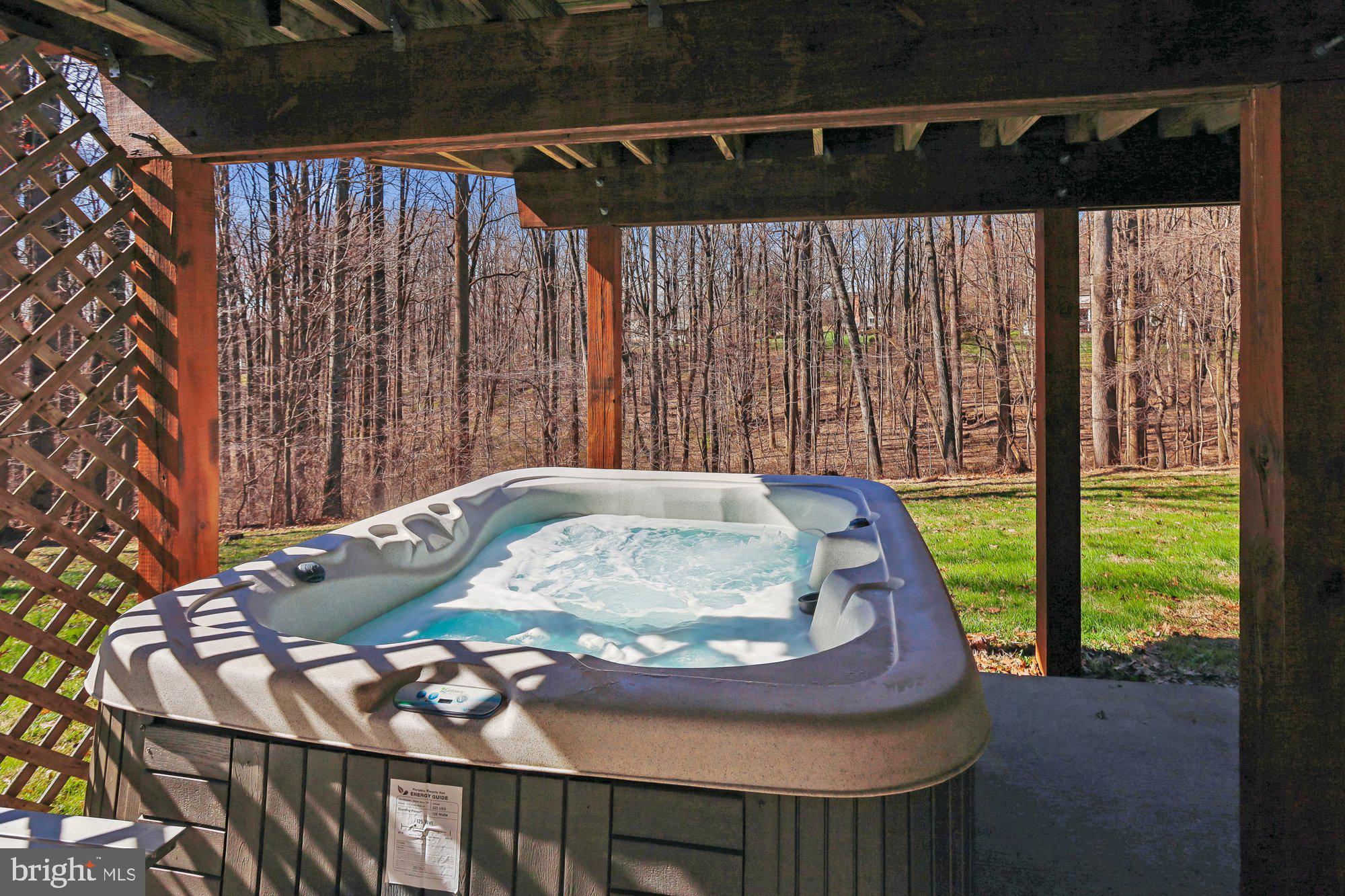 702 Falls Road Parkton, MD 21120 - Photo 51 of 67 Hot Tub