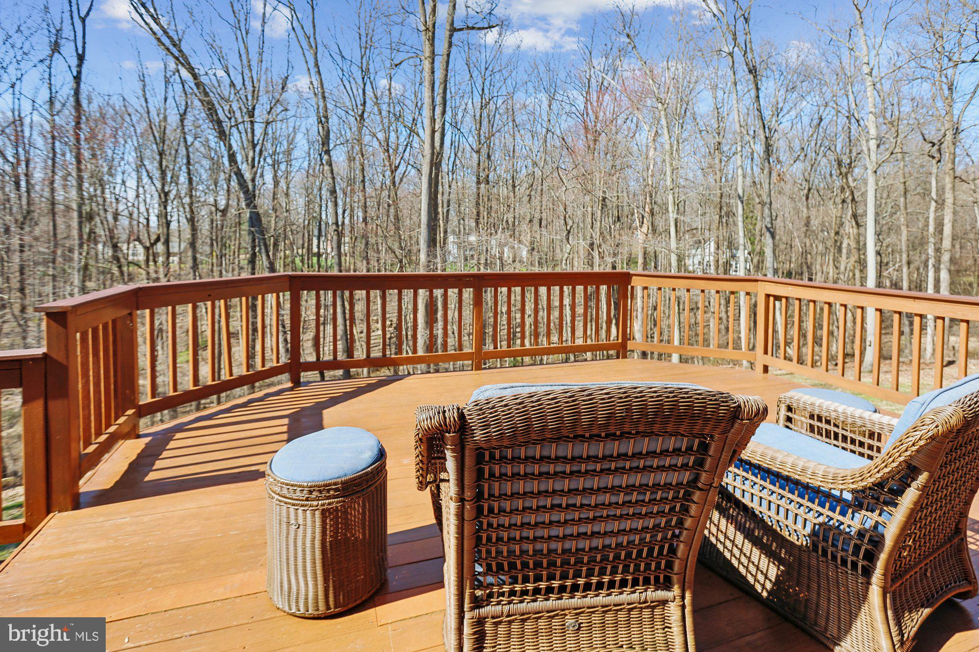 702 Falls Road Parkton, MD 21120 - Photo 61 of 67 Deck