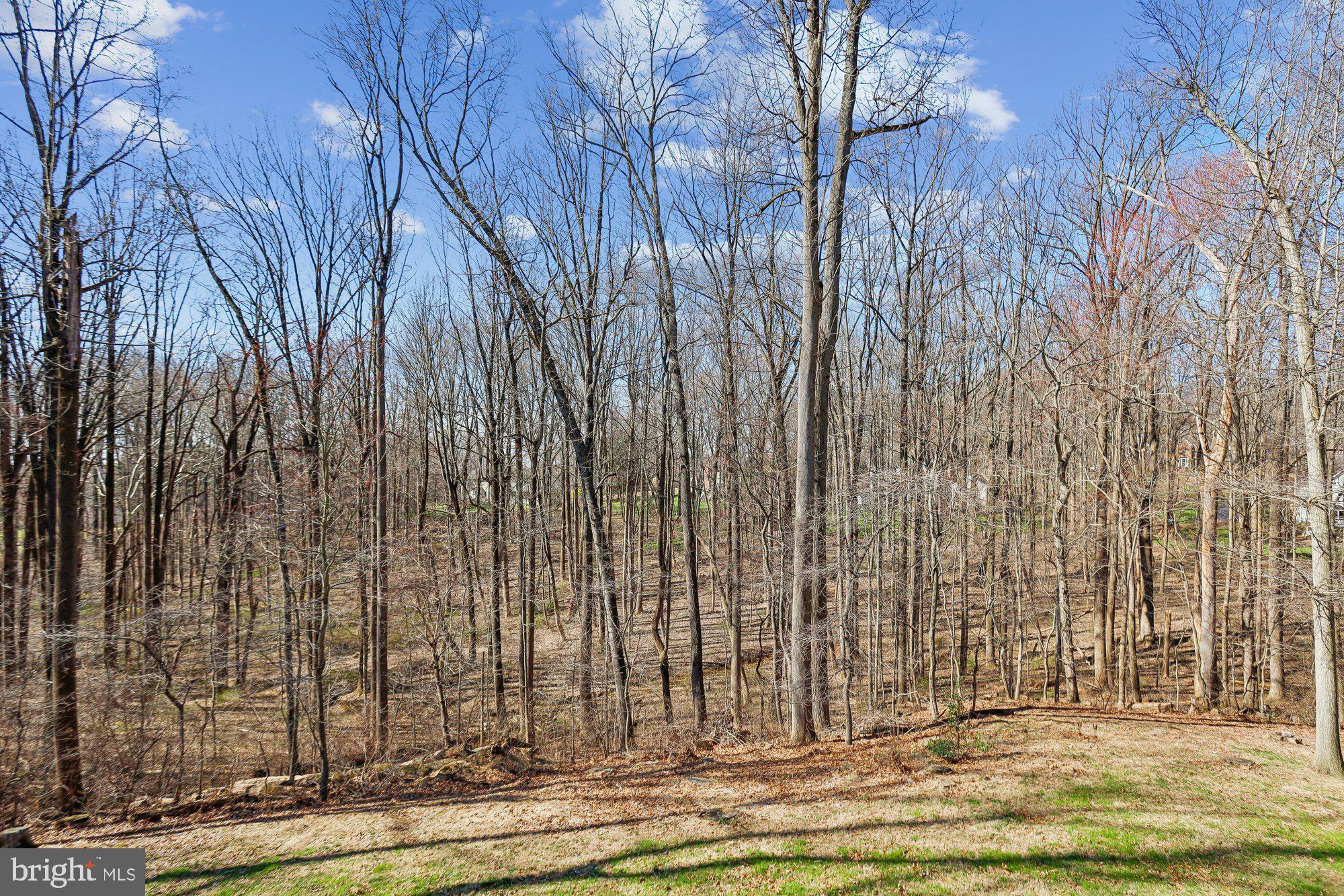 702 Falls Road Parkton, MD 21120 - Photo 62 of 67 View