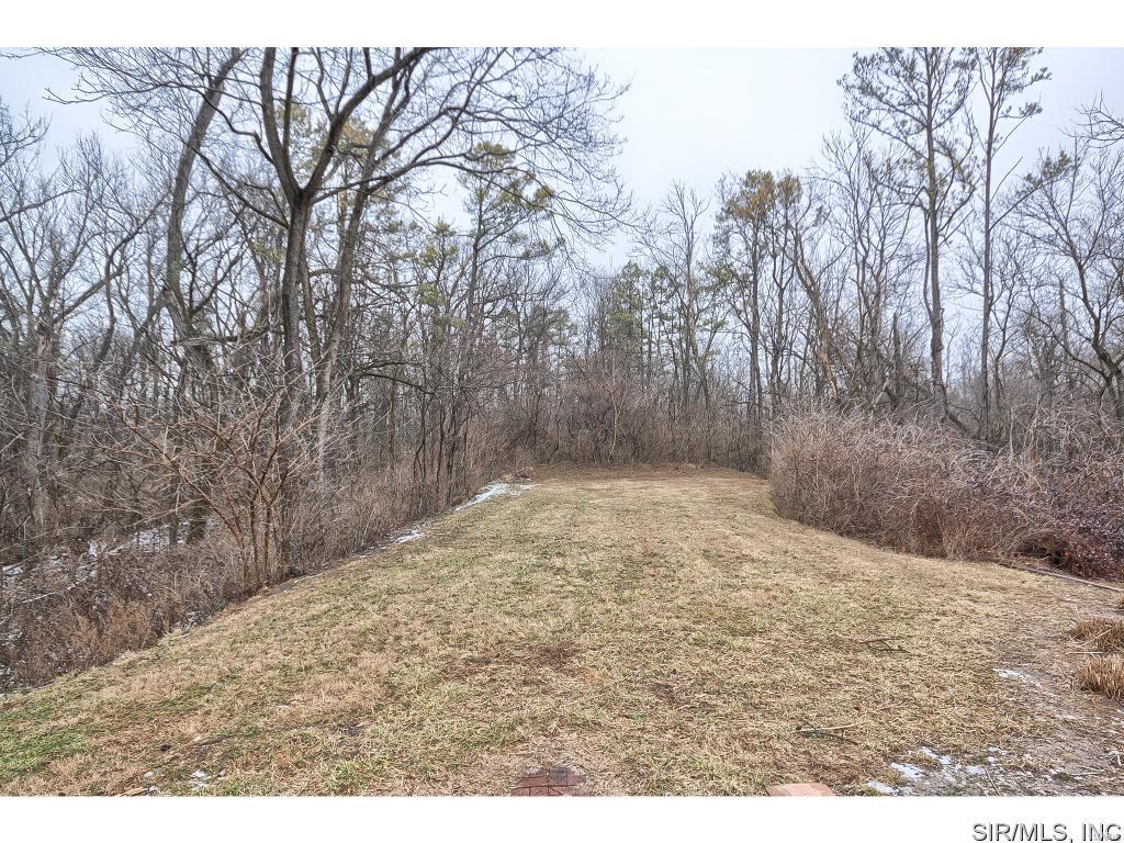 7041 Mine Haul Road Belleville, IL 62223 - Photo 5 of 35 Gallery Image 5