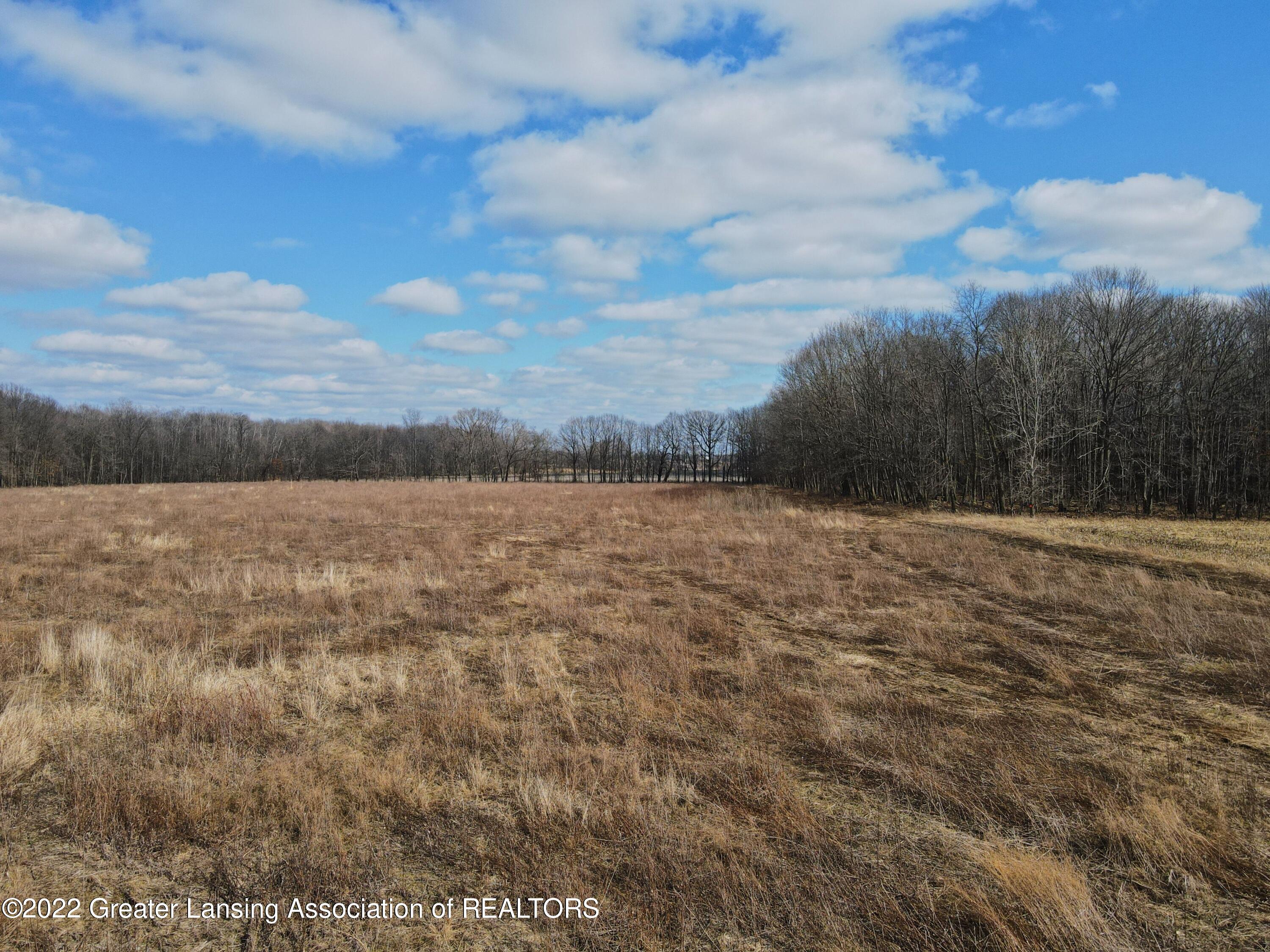 0 Musbach Road Munith, MI 49259 - Photo 3 of 10 3