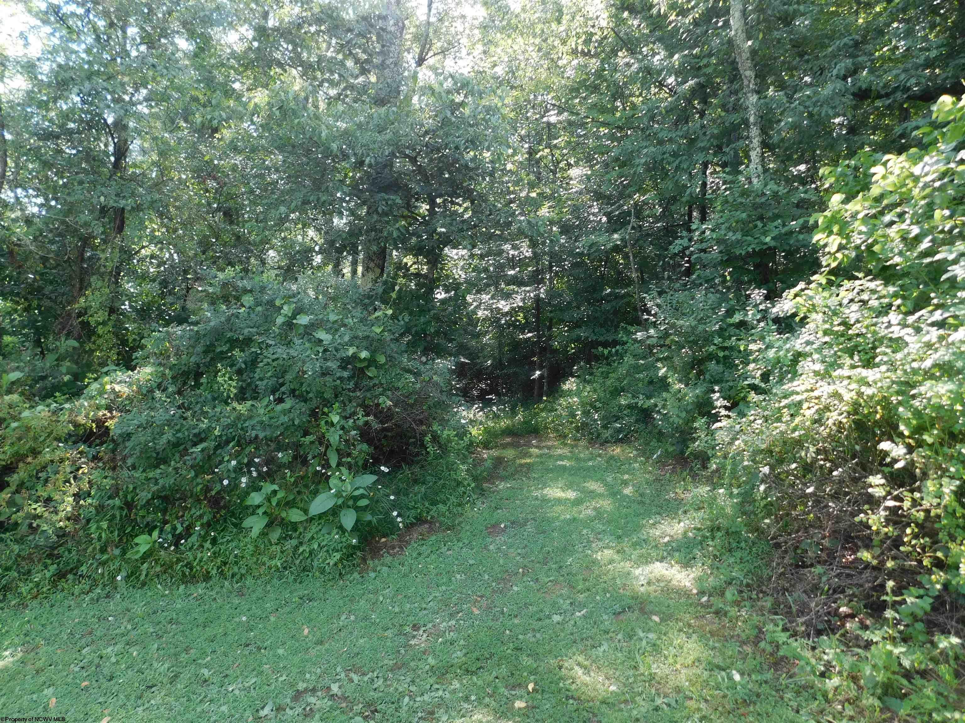 Tbd Independence Road Newburg, WV 26410 - Photo 15 of 16 Gallery Image 15
