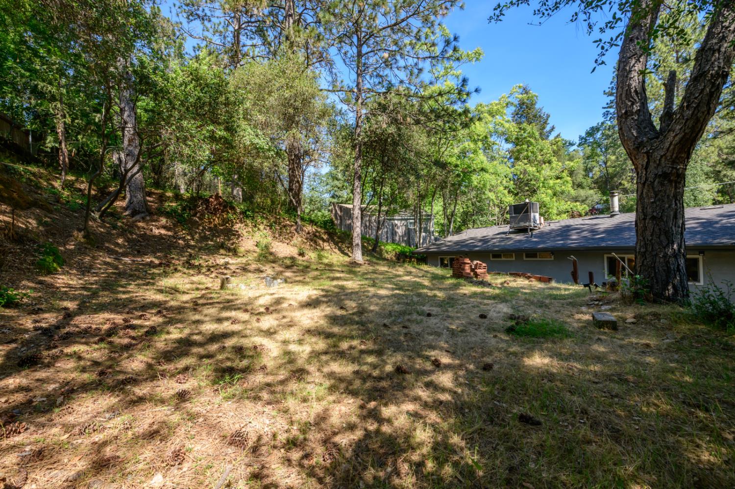 2873 Anderson Way Placerville, CA 95667 - Photo 22 of 24 a view of a backyard with large trees