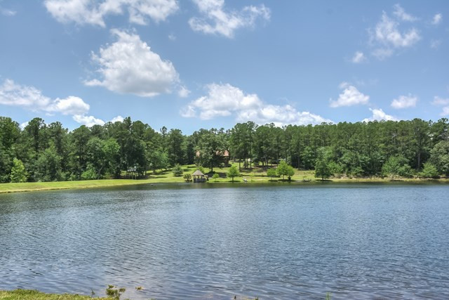 381 Windy Ridge Road Trenton, SC 29847 - Photo 1 of 4 Gallery Image 1