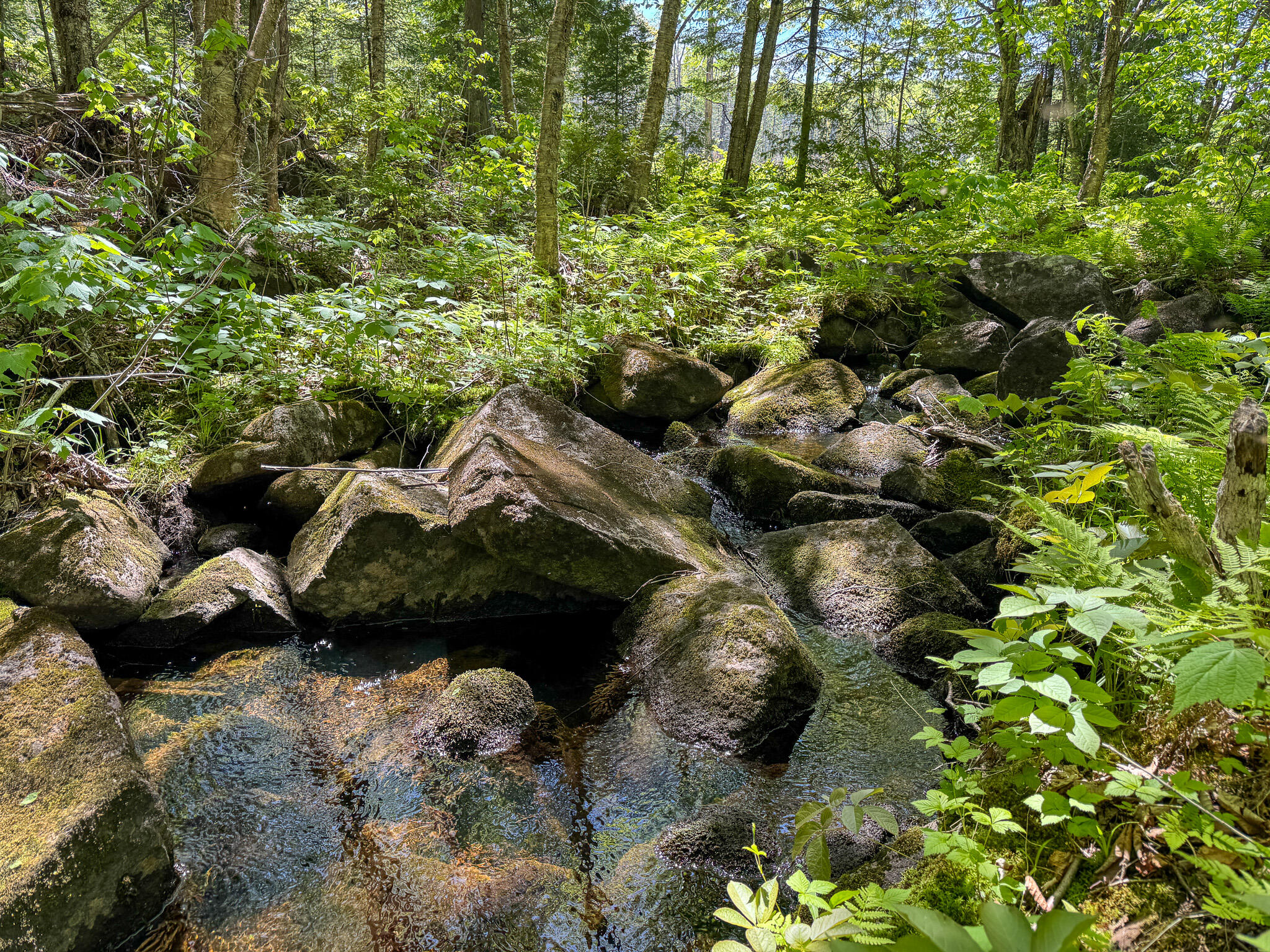 Lot 10 Morrison Brook, Unit ACRES Oakfield, ME 04763 - Photo 7 of 11