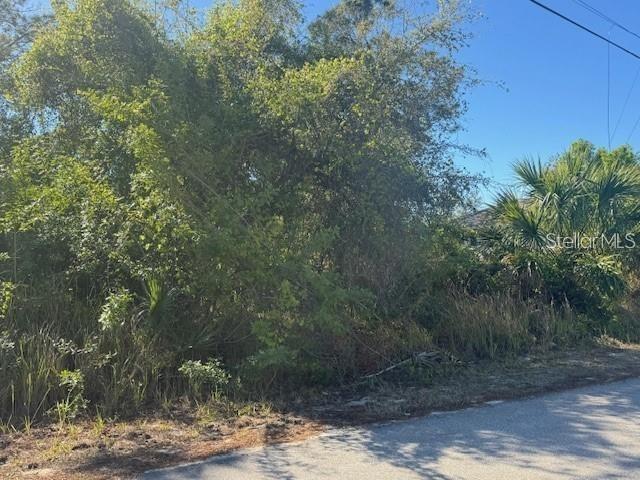 Troost St Port North Port, FL 34288 - Photo 1 of 7 a view of a forest filled with trees