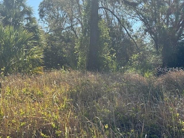 Troost St Port North Port, FL 34288 - Photo 6 of 7 a view of a forest