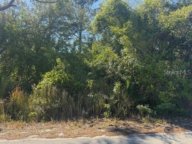 Troost St Port North Port, FL 34288 - Photo 7 of 7 a view of a yard with plants and large trees